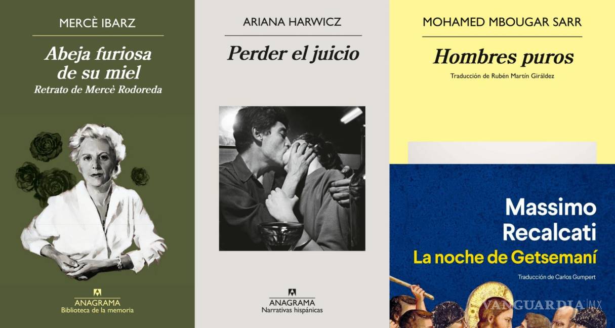 ¿Te gusta leer? Estos 4 libros atraparán tu atención