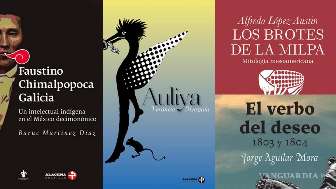 ¿Te gusta leer? Estos 4 libros atraparán tu atención