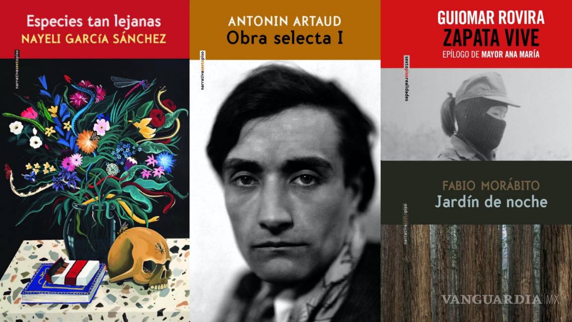 ¿Te gusta leer? Estos 4 libros atraparán tu atención