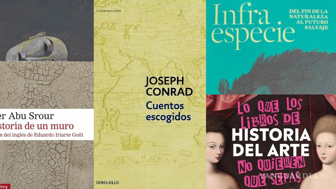 ¿Te gusta leer? Estos 4 libros atraparán tu atención