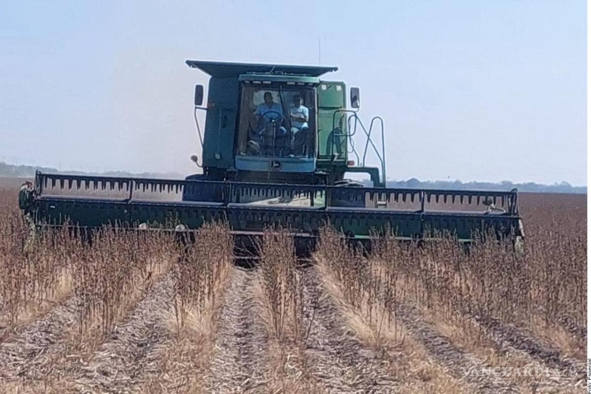 Rechazan agricultores de Tamaulipas ceder agua para pagar deuda con EU