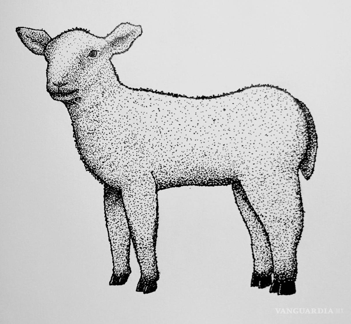 $!Any Martínez, artista visual.