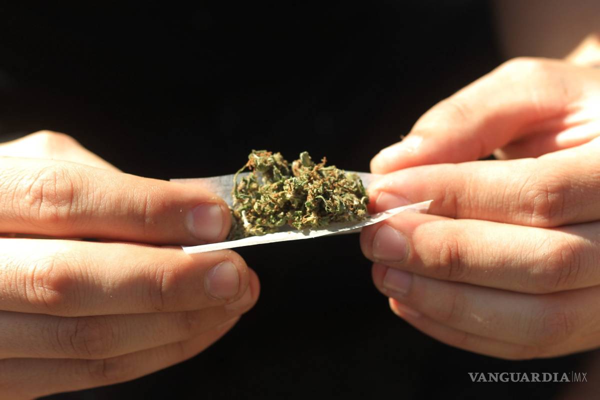 Anafarmex se pronuncia a favor del uso medicinal de mariguana