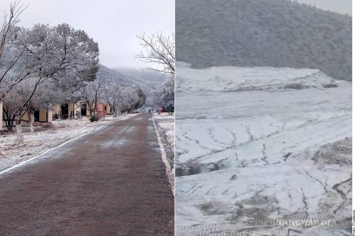 Coahuila: se registra en Ocampo la primera nevada del año