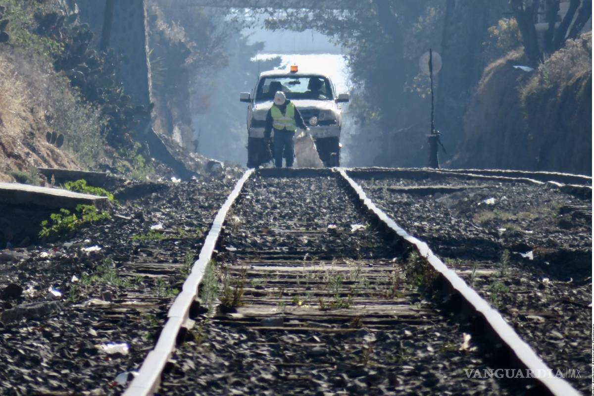Advierten que concesionarios de trenes necesitan un año para desarrollar propuestas que pide el Gobierno de AMLO