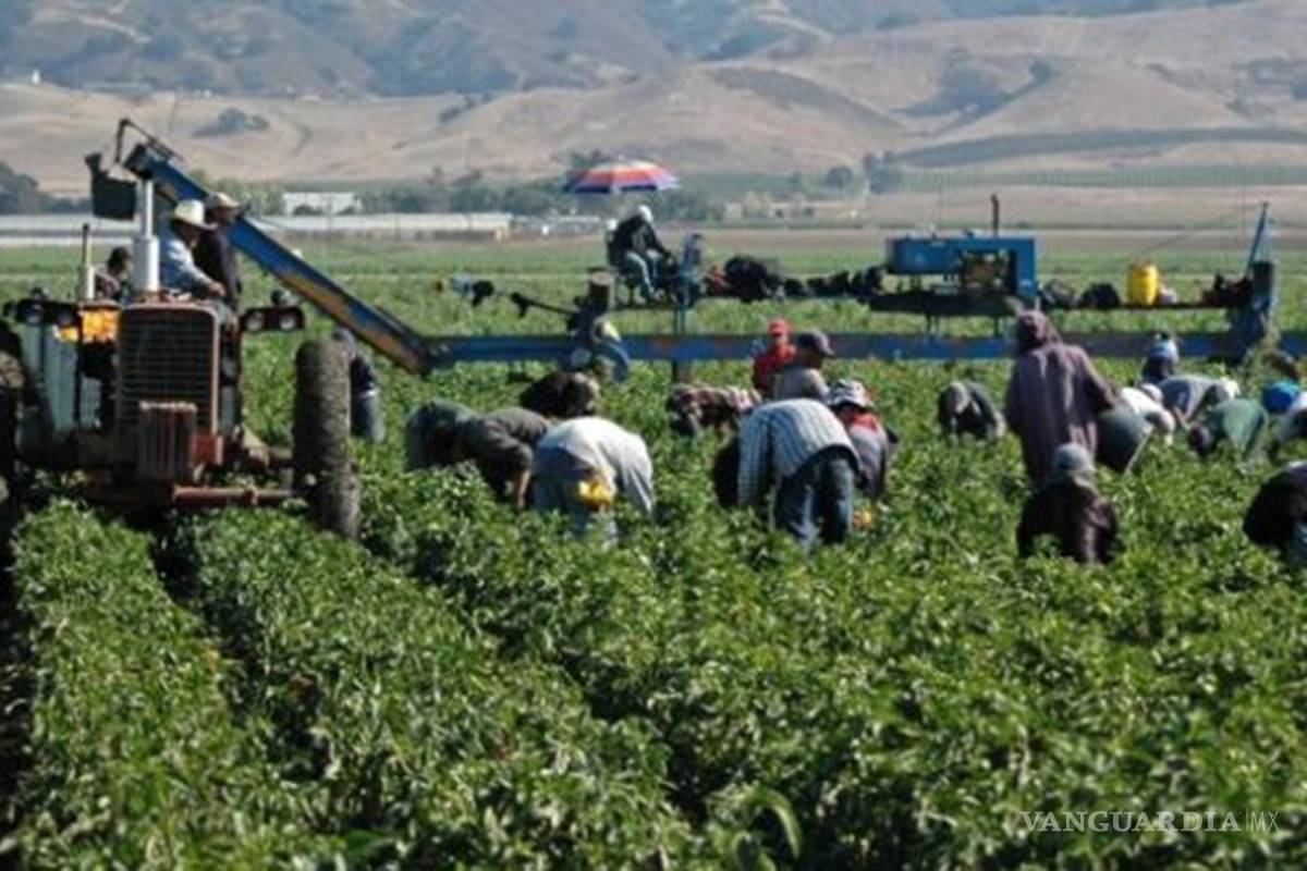 Agro mexicano hila 11 años de alzas exportadoras y logra récord