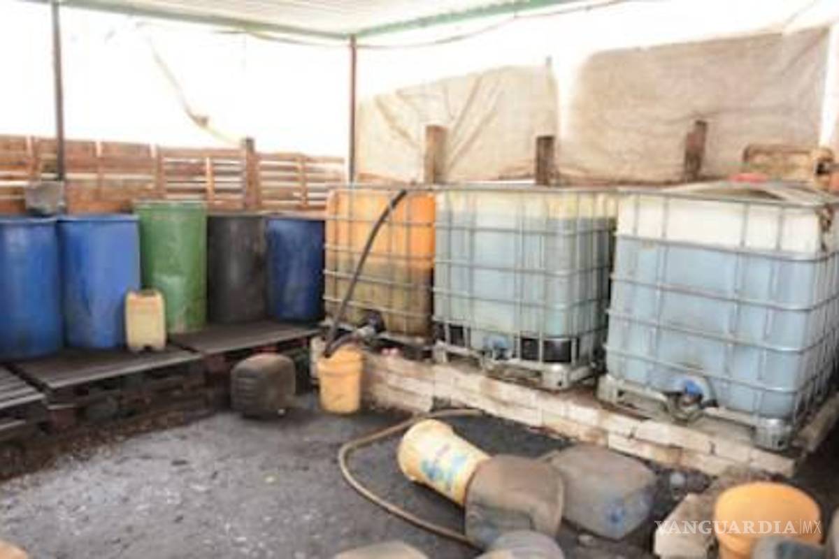 Cocos, frutas y mole, formas de trasiego de drogas a EU