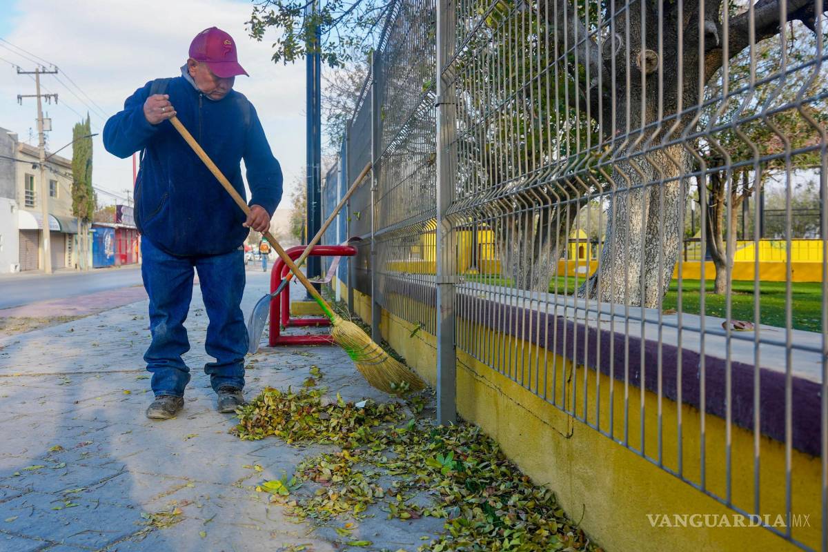 $!Se efectuaron labores de barrido manual y mecánico, retiro de hojarasca y limpieza profunda de áreas comunes.