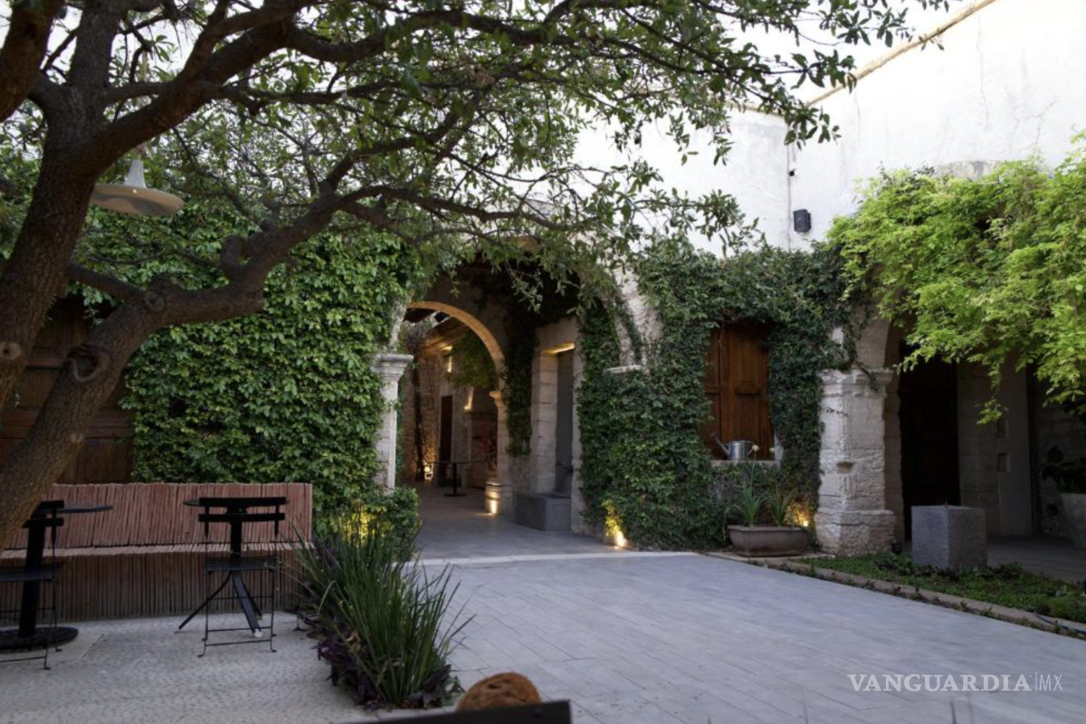 ¿Dónde comer en el centro de Saltillo? 6 lugares deliciosos que tienes que probar