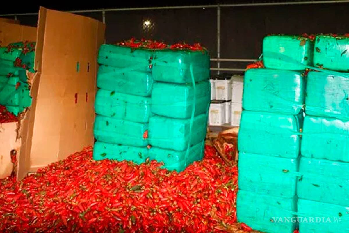 'Mariguana picosa', descubren toneladas de marihuana en chiles jalapeños