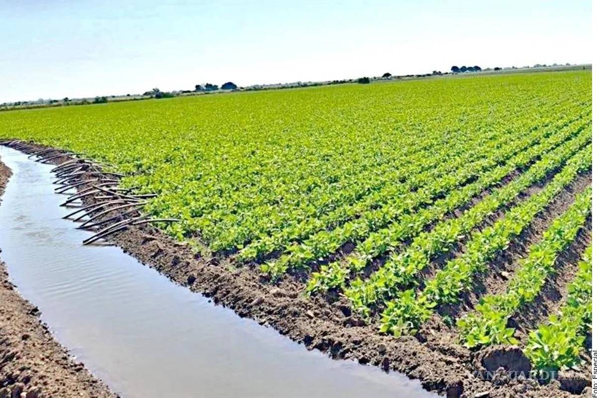 Inseguridad y crimen organizado afectan la productividad del campo