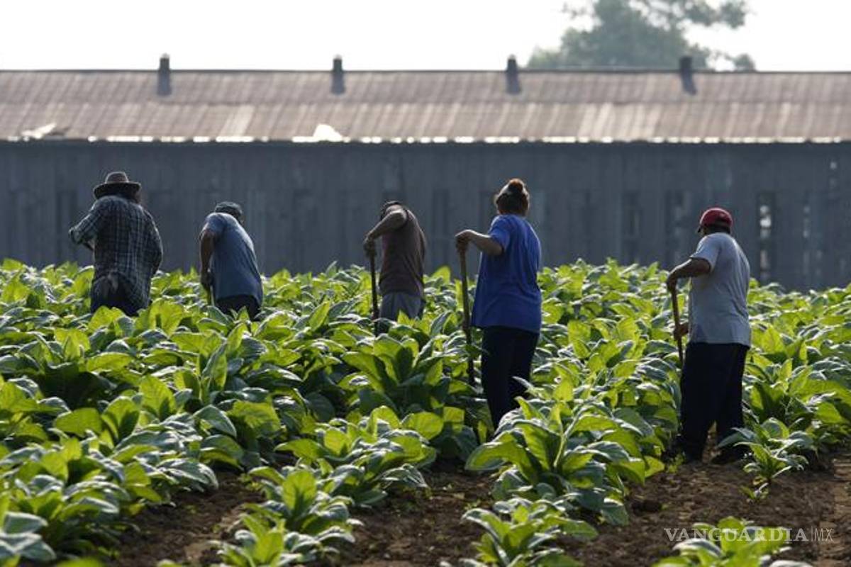 Incluye Sedesol en programa a jornaleros agrícolas de Coahuila