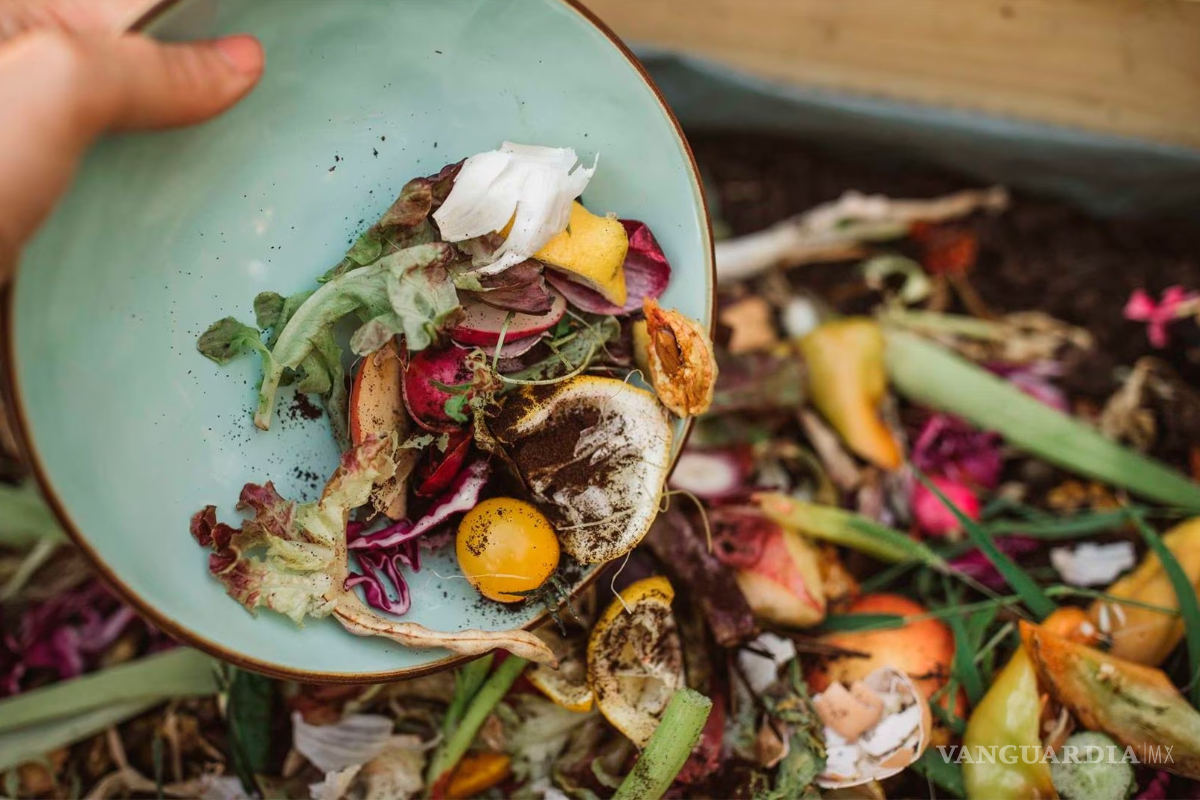 En México se desperdician casi 38% de los alimentos producidos: FAO