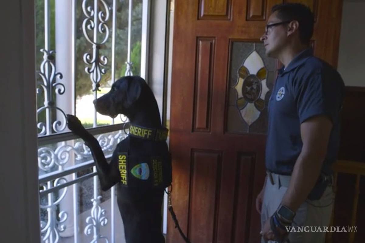 $!URL: El perro que olfatea pornografía