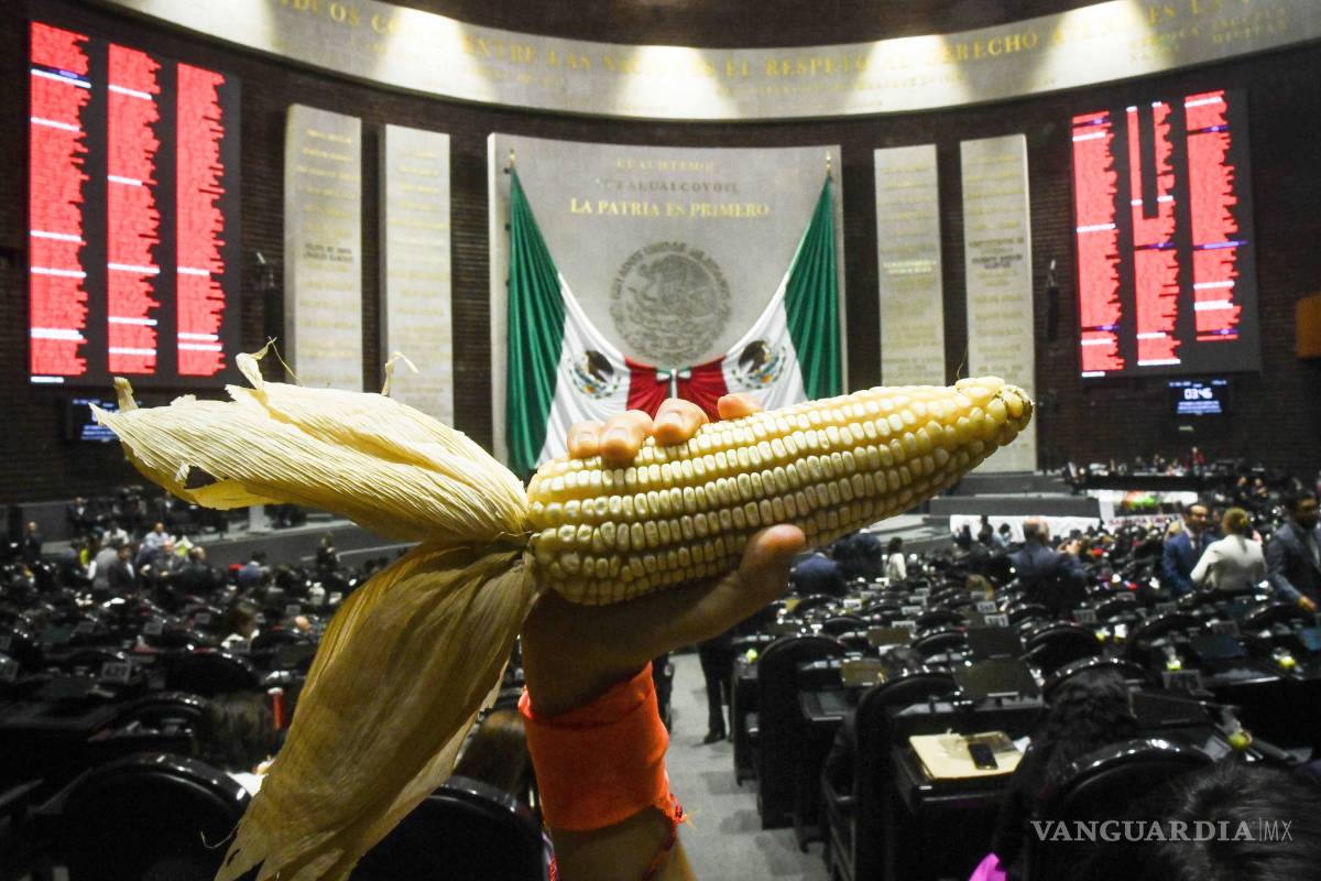 Declara Cámara de Diputados constitucional prohibición de cultivo de maíz transgénico