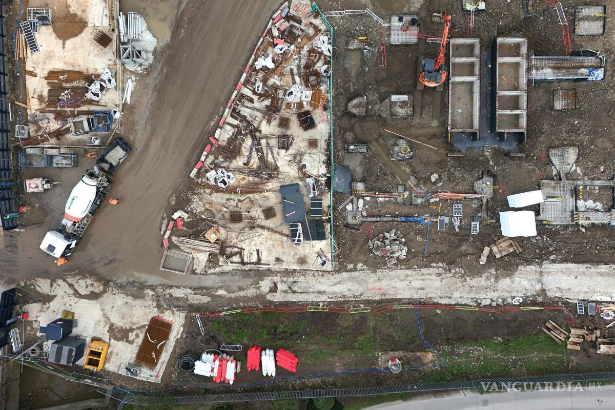 ‘Tiny Forests’, bosques urbanos que buscan ser una solución verde para oxigenar las grandes ciudades