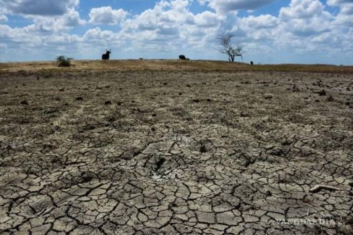Azota sequia extrema a municipios de Coahuila