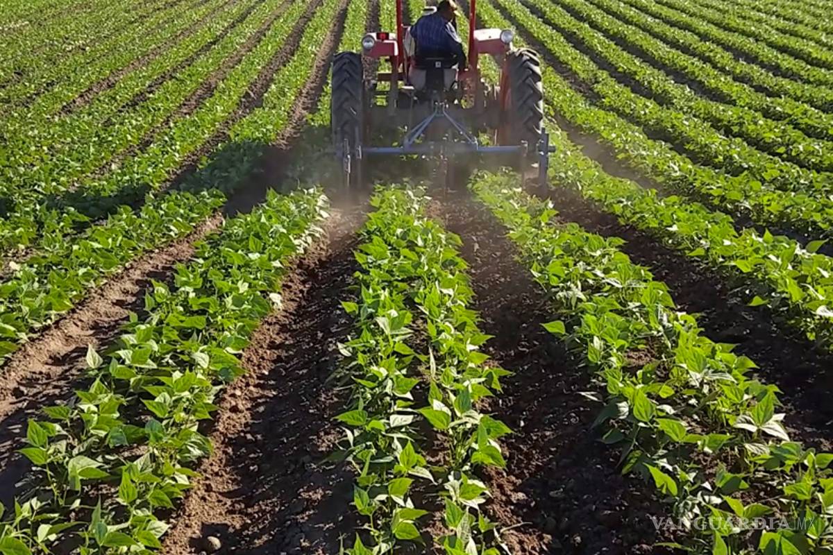 Reasignan casi 33 mil mdp del presupuesto para educación, estados y campo