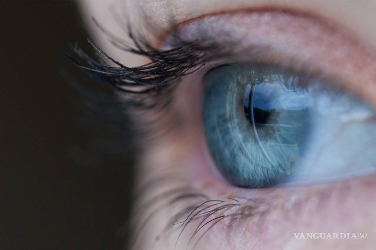 Mexicanos crean microválvula que ayudaría a reducir riesgos de glaucoma