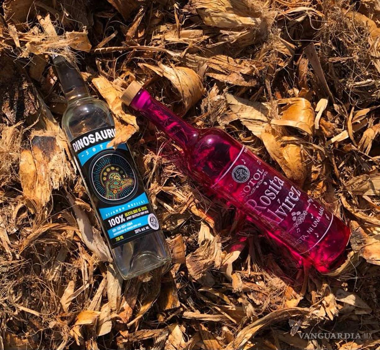 $!La Destiladora vende productos como el sotol Excéntrico, el Recluta, el Kikapoo, el Dinosaurios y están por lanzar el Rosita Alvírez.