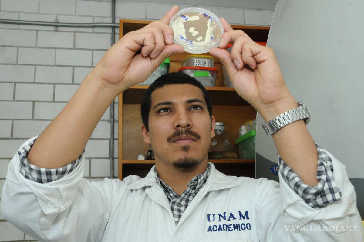 Ubican posible cura al cáncer en Coahuila