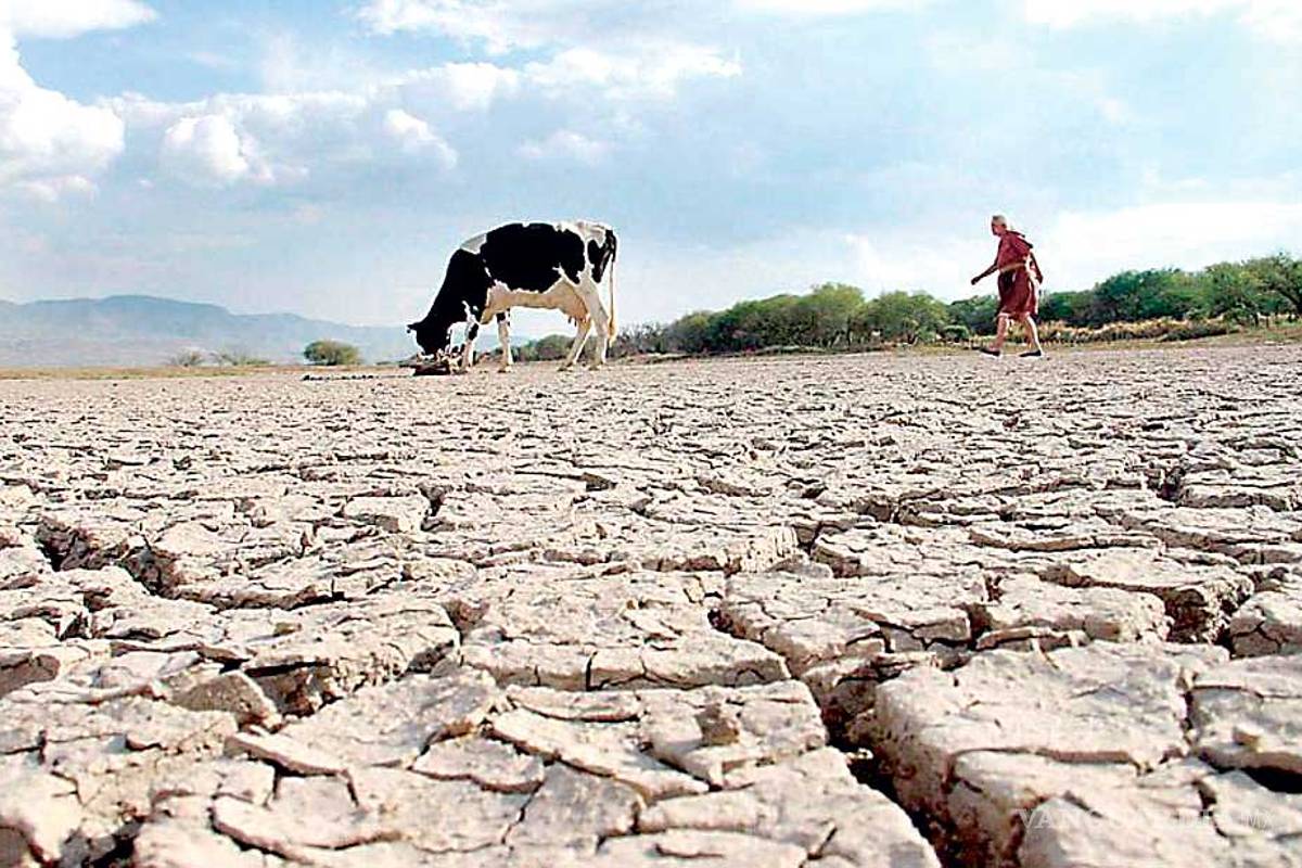 Pronostican sequía en el campo de Coahuila para julio