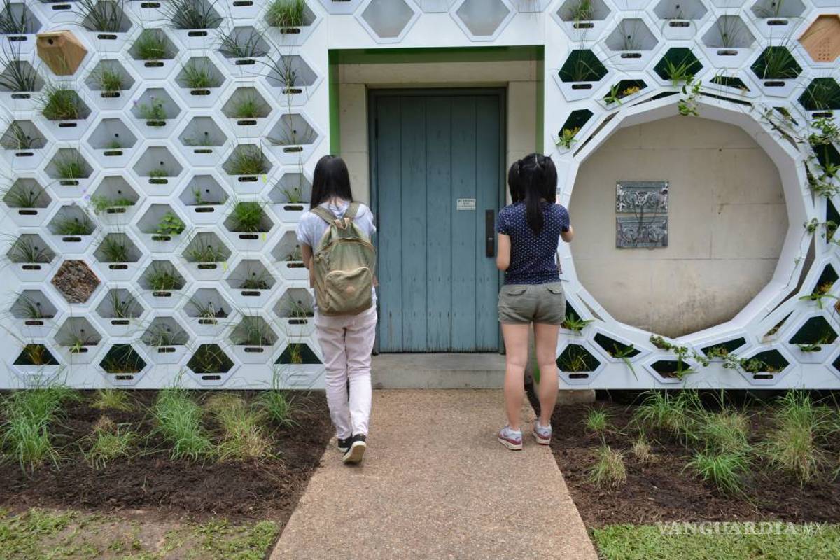 $!Pon a tu casa una piel verde