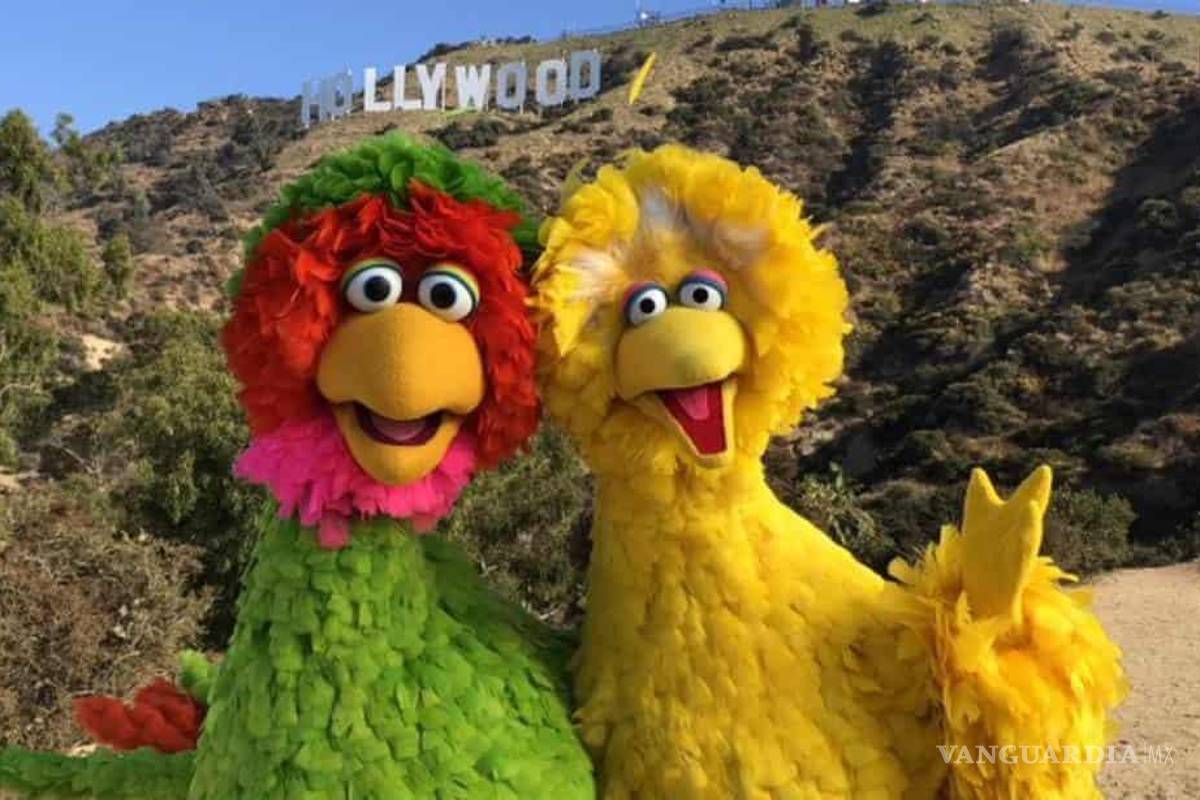 ¡Fiesta de plumas! Abelardo visitó a su primo Big Bird