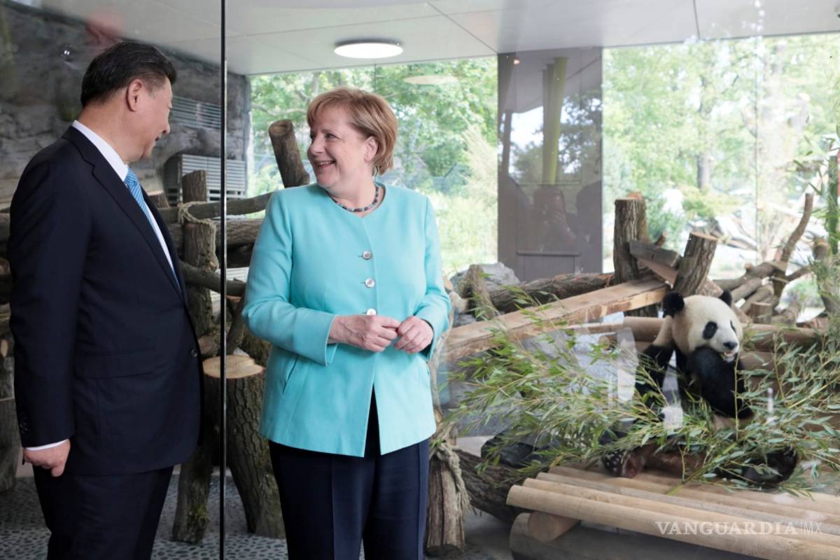 Tesorito y Sueñito, el regalo de Xi a Merkel antes del G20