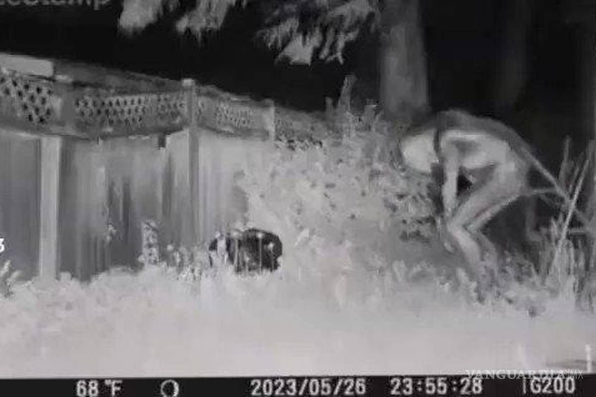 ¿Extraterrestres en Las Vegas?, se viralizan videos de supuestos aliens