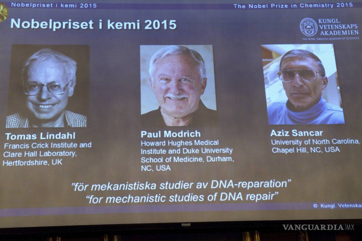 Lindahl, Modrich y Sancar “cartografiaron&quot; la forma como las células reparan el ADN