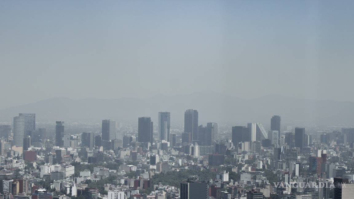 $!Contaminación del aire acorta esperanza vida unos 20 meses a niños recién nacidos, según un estudio