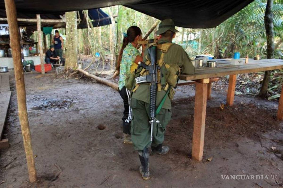 ¿Cómo será el proceso de desmovilización y desarme de las FARC?