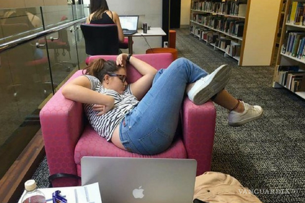 Se queda dormida en la biblioteca y paraliza la red con cientos de memes