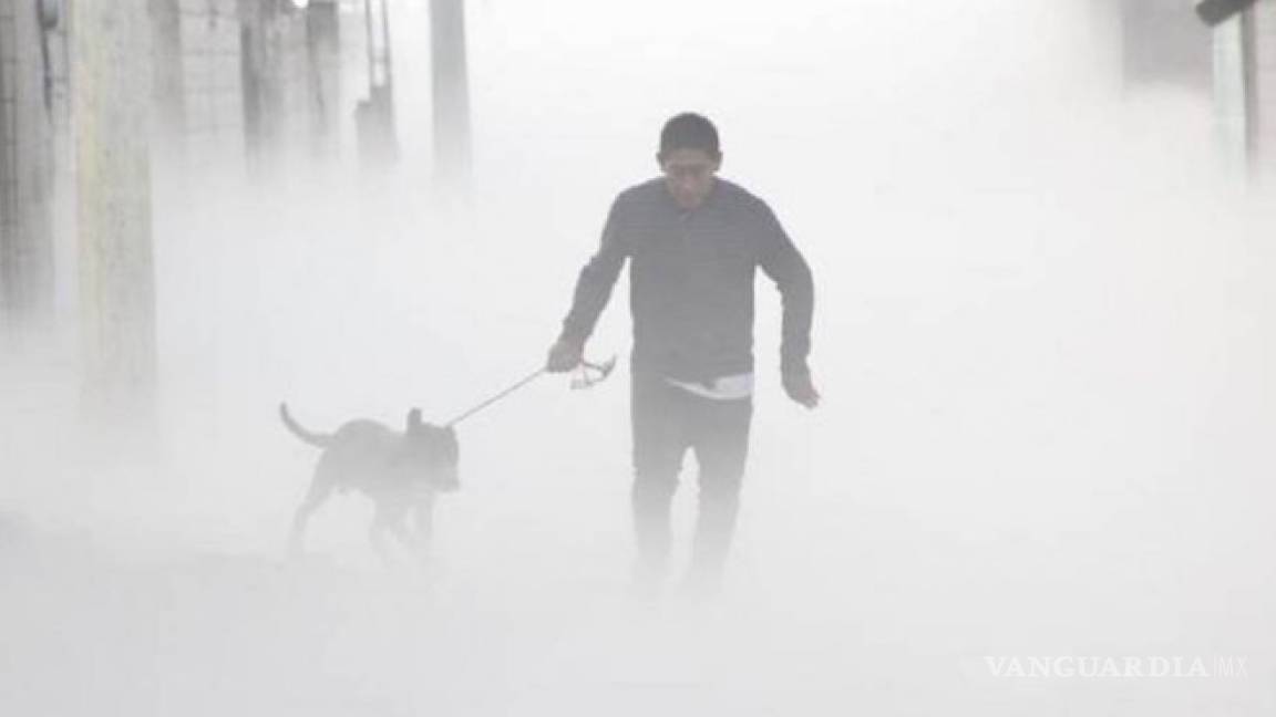 Fue desalojado por mortal fuga de gas en Puebla, pero regresó por su perro (video)
