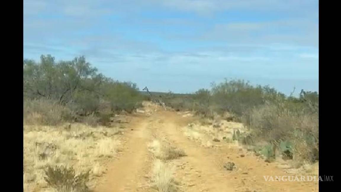 Coahuila: tierra de osos, dinosaurios... ¡y jirafas! (video)