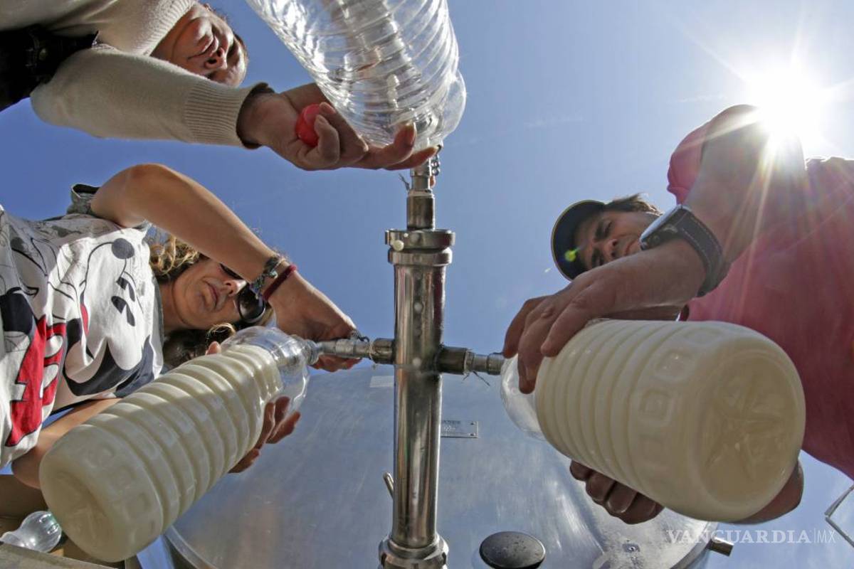 $!¿Sabe cuál es la leche adecuada para usted?