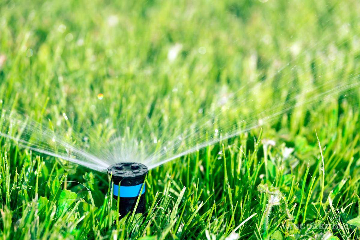 Establecerán sistemas de riego en 50 mil hectáreas de Chiapas