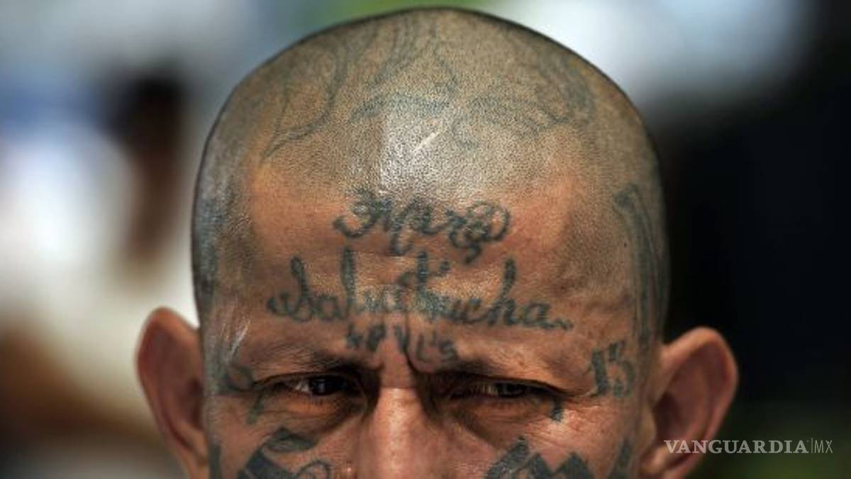 MS-13: la banda que le quita el sueño a Donald Trump