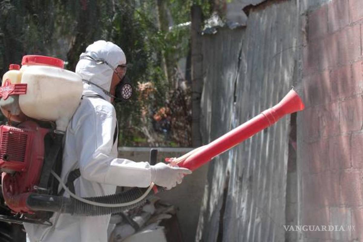 Llega a Piedras Negras el calor y las plagas, recomiendan armar una estrategia de control