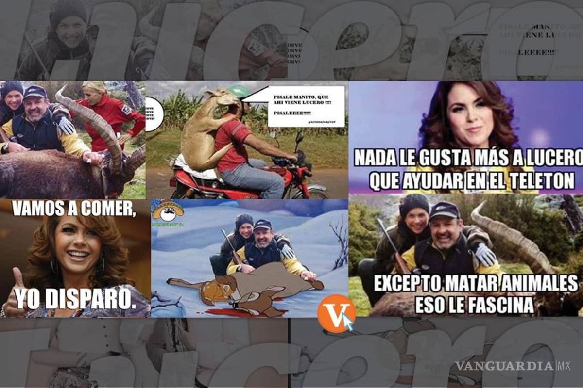 Lucero, objeto de burlas y críticas en Twitter y Wikipedia