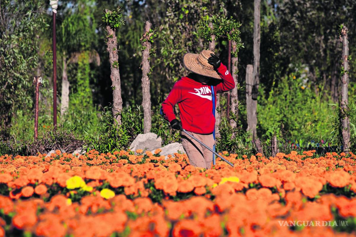 Se triplica el precio de las flores: comerciantes de Acuña