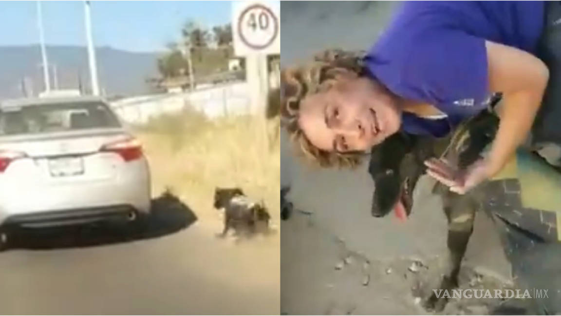 Una más de maltrato animal... una mujer arrastra a un perro amarrado a su auto (Video)