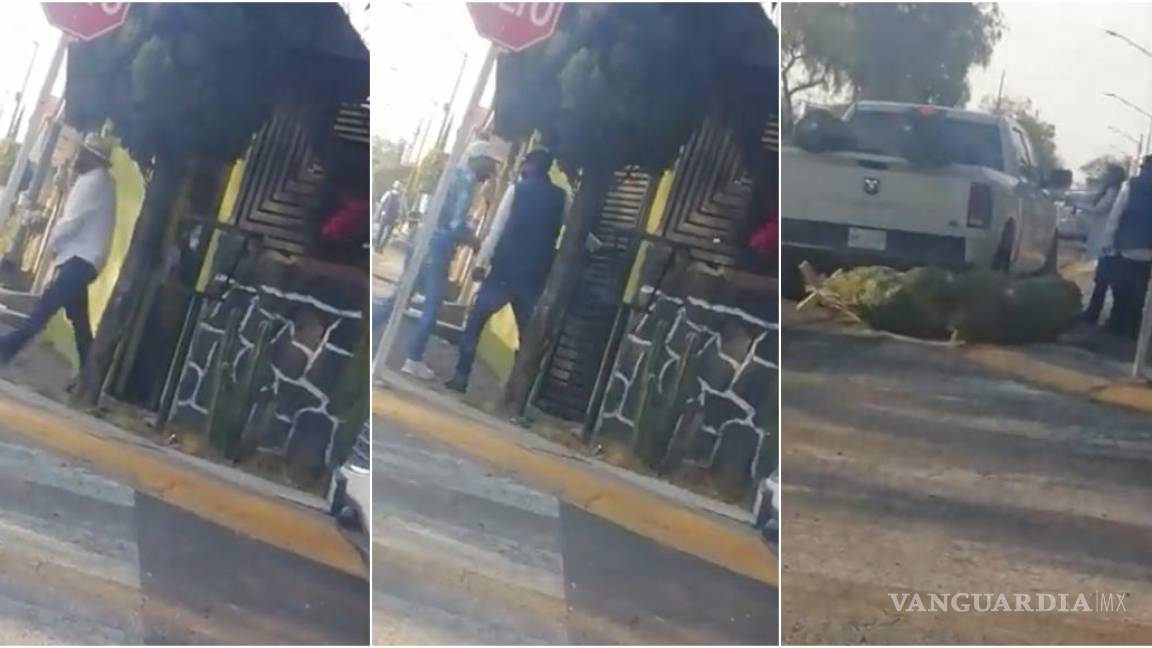 Se roban camioneta con todo y árbol de Navidad en Naucalpan
