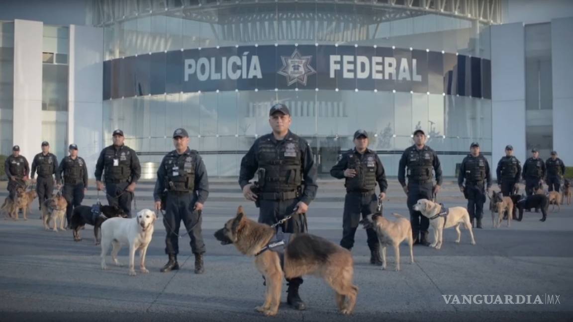 Incierto futuro de Unidad Canina, podría desaparecer en traspaso a Guardia Nacional
