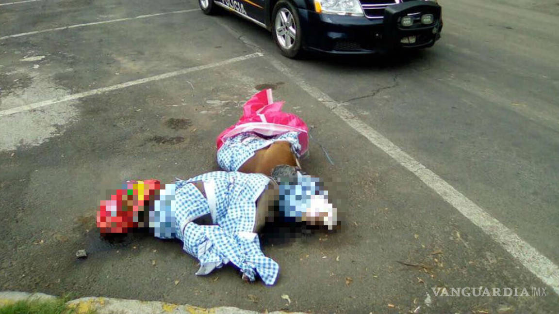 Asesinan a dos perros pitbull; temen sea represalia por la muerte de una niña en Coyoacán