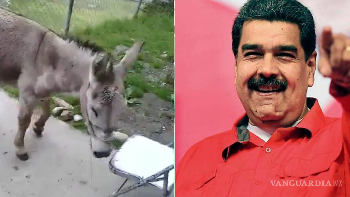 Detienen a dos bomberos por difundir video en el que comparan a Nicolás Maduro con un burro