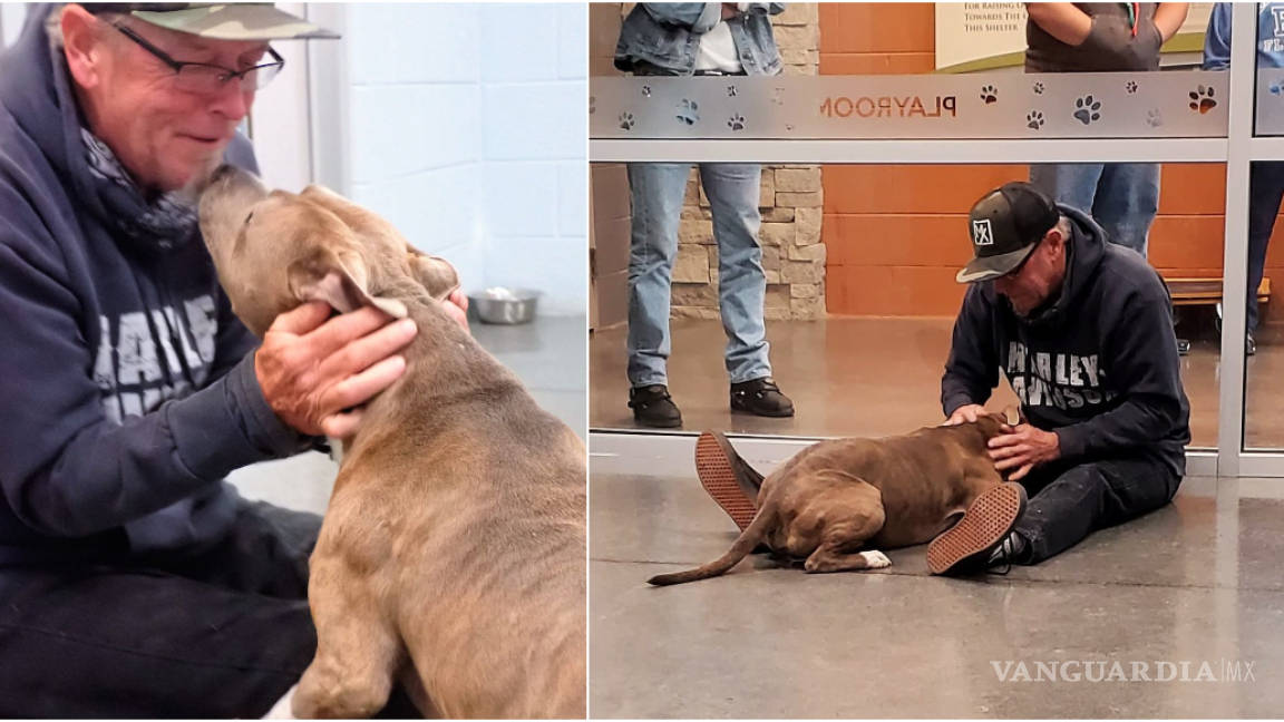 Conmovedor: Hombre se reencuentra con su perro tras 200 días de búsqueda, lo encuentra en un refugio en Tennessee
