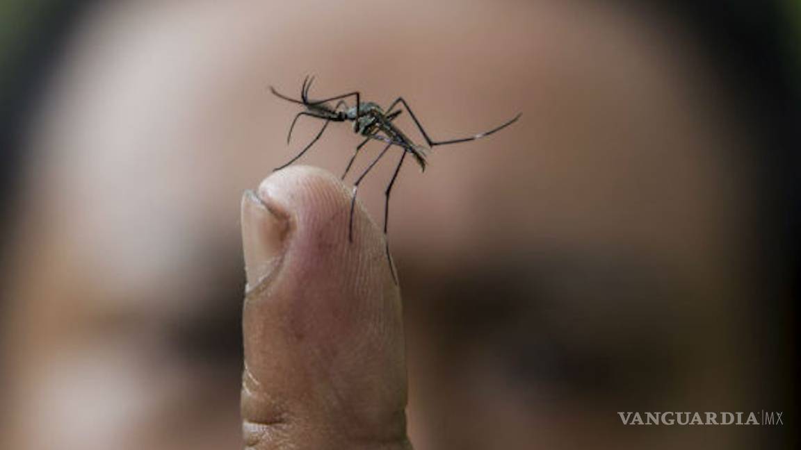 Reportan más de 22 mil casos de dengue en el país