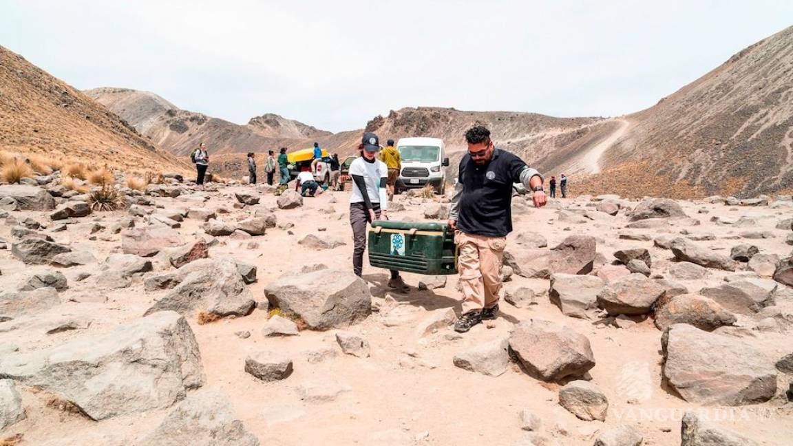 Arqueólogos del mundo piden a AMLO no afectar el trabajo del INAH con recortes de presupuesto